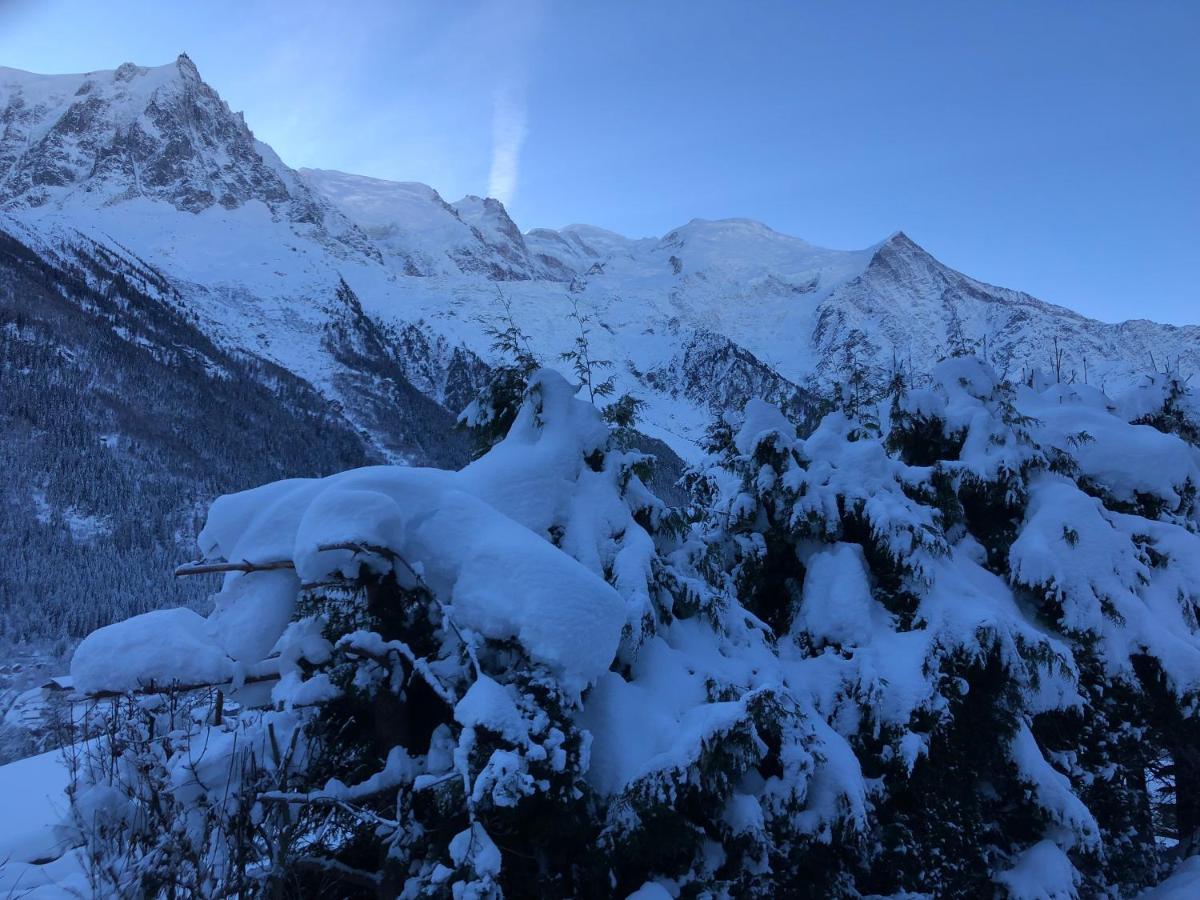 Mont Blanc 43, Vue Mont Blanc , Balcon, Parking Appartement Chamonix Buitenkant foto